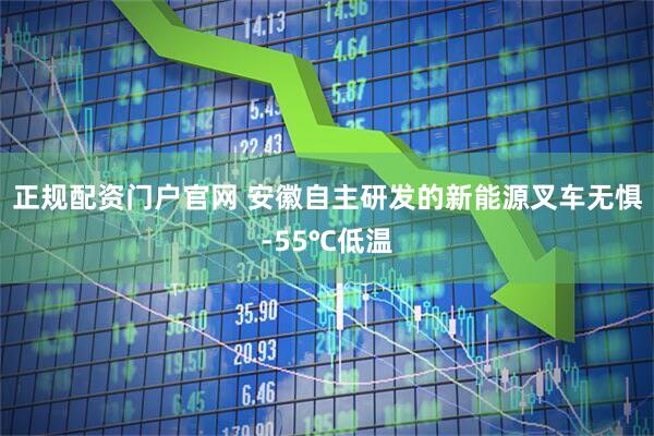 正规配资门户官网 安徽自主研发的新能源叉车无惧-55℃低温