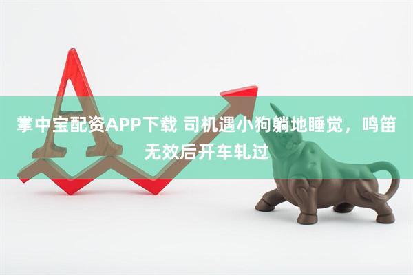 掌中宝配资APP下载 司机遇小狗躺地睡觉，鸣笛无效后开车轧过