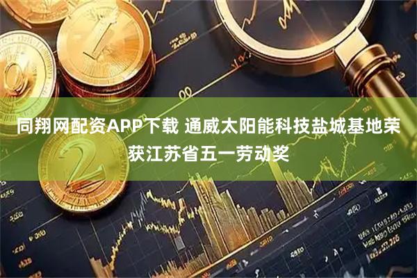 同翔网配资APP下载 通威太阳能科技盐城基地荣获江苏省五一劳动奖
