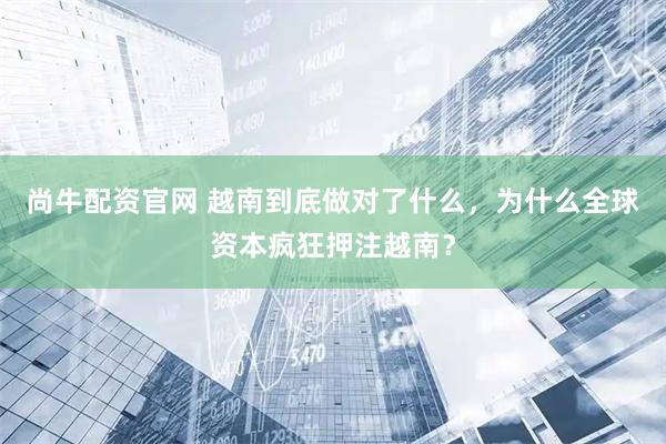尚牛配资官网 越南到底做对了什么，为什么全球资本疯狂押注越南？